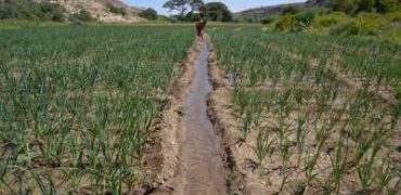 resilience-wg-image1-july2017_400x200